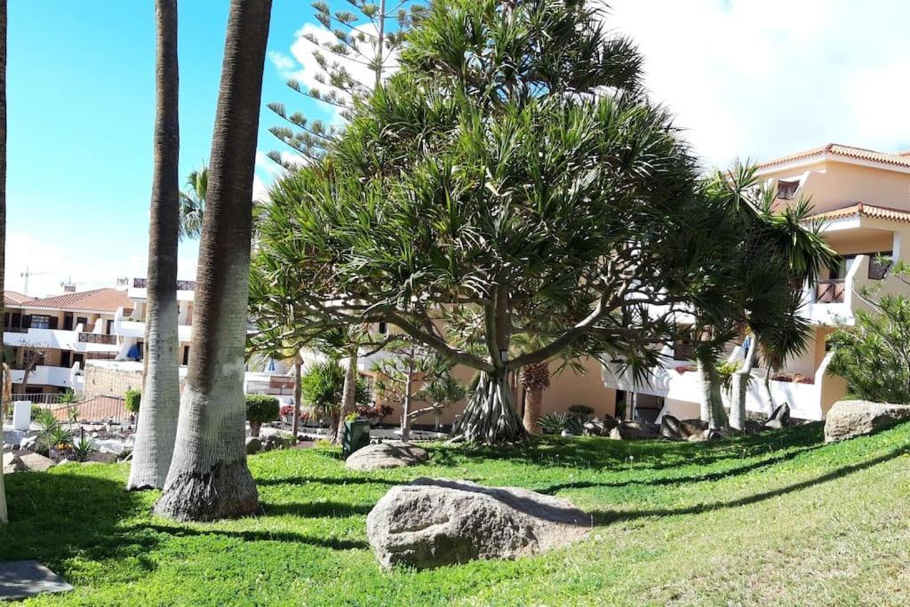 Apartamento With Pool And Gardens Near The Coast San Miguel de Abona